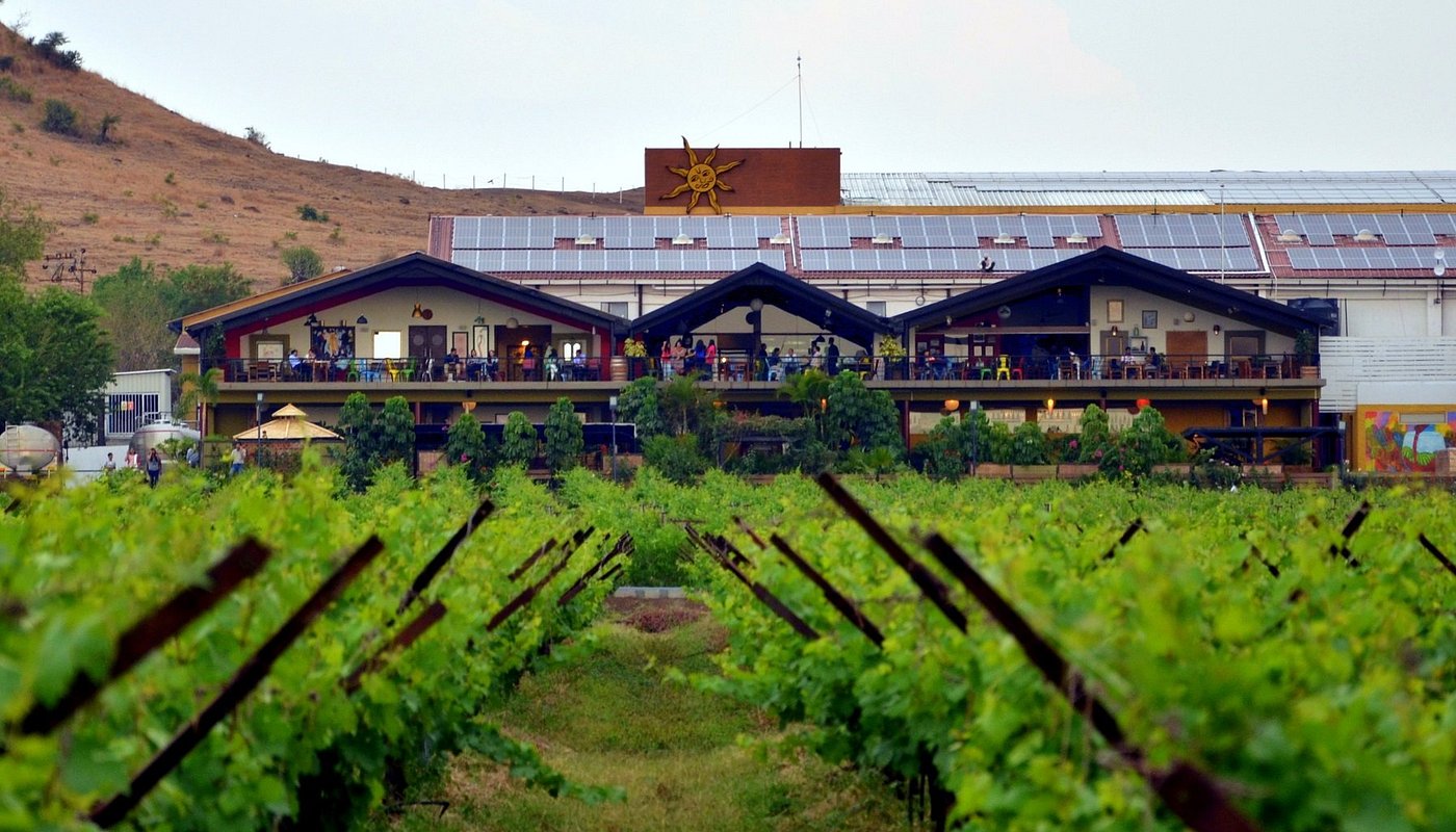 Nashik Wine Tour